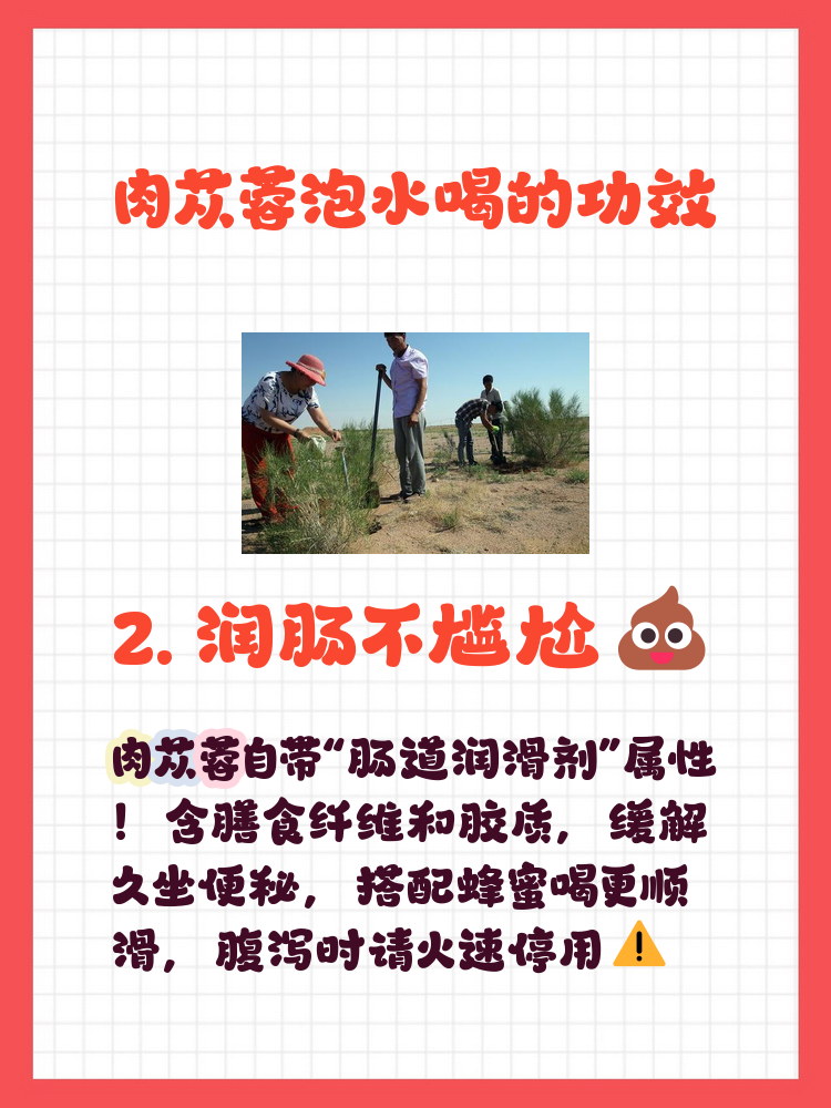 肉苁蓉泡酒是什么颜色的图片