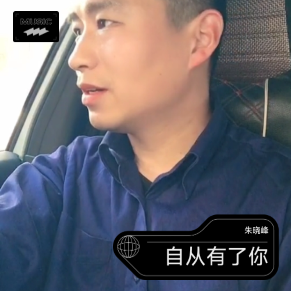 还珠格格自从有了你歌词