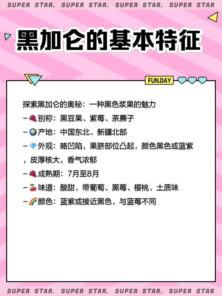 黑加仑的功效与作用及禁忌的功效与作用
