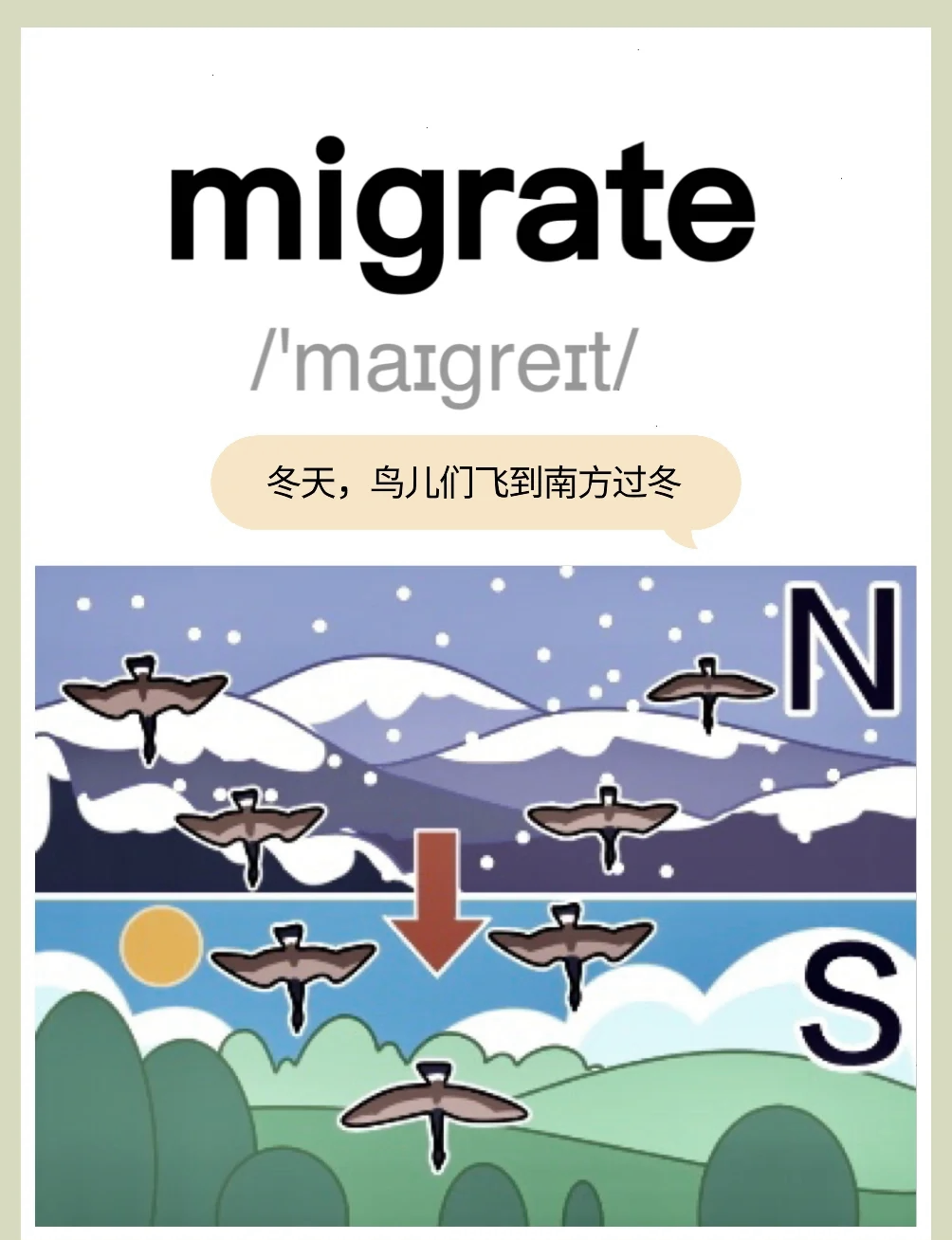 爆米花英语怎么读 单词