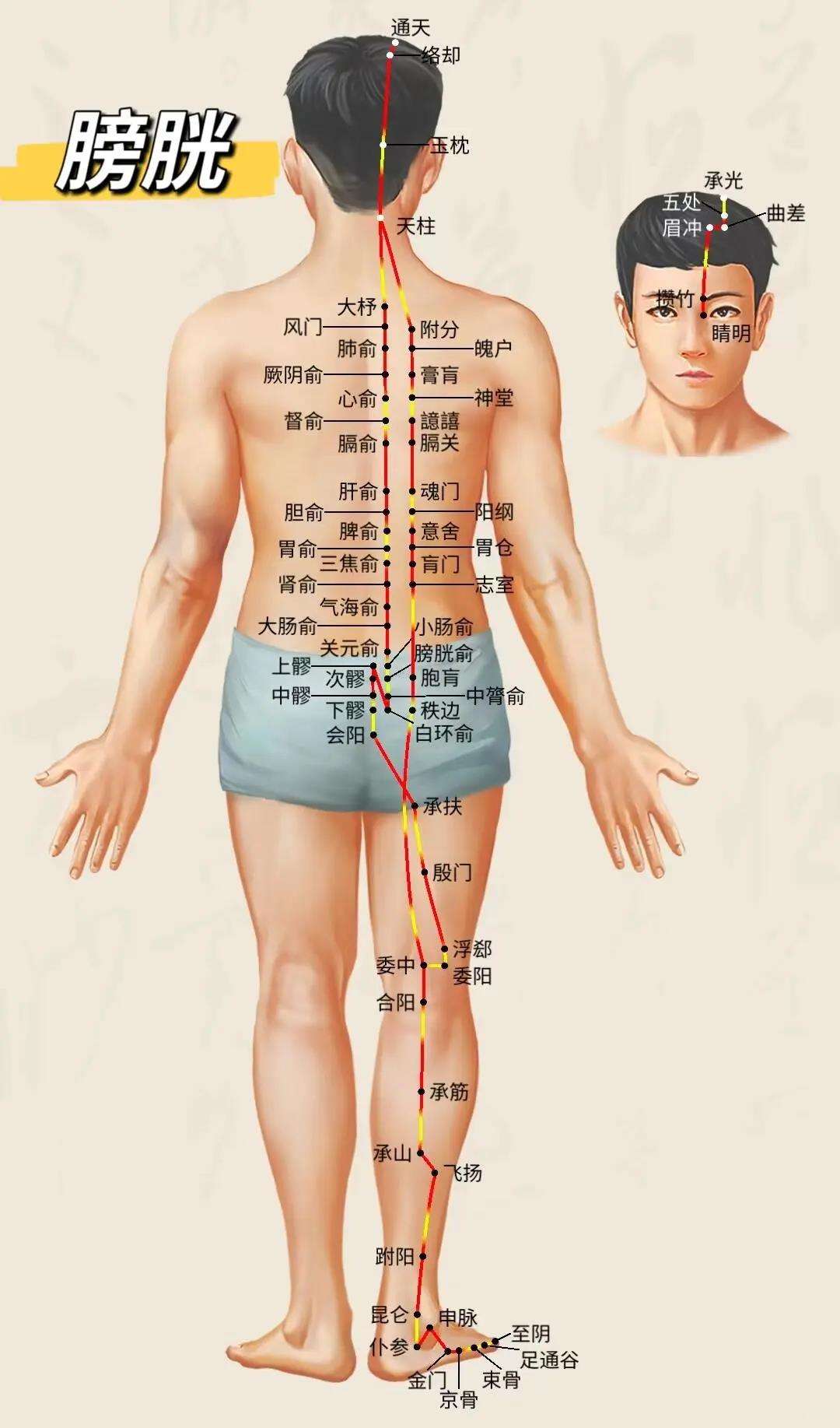小孩背部经络图解大全图片大全