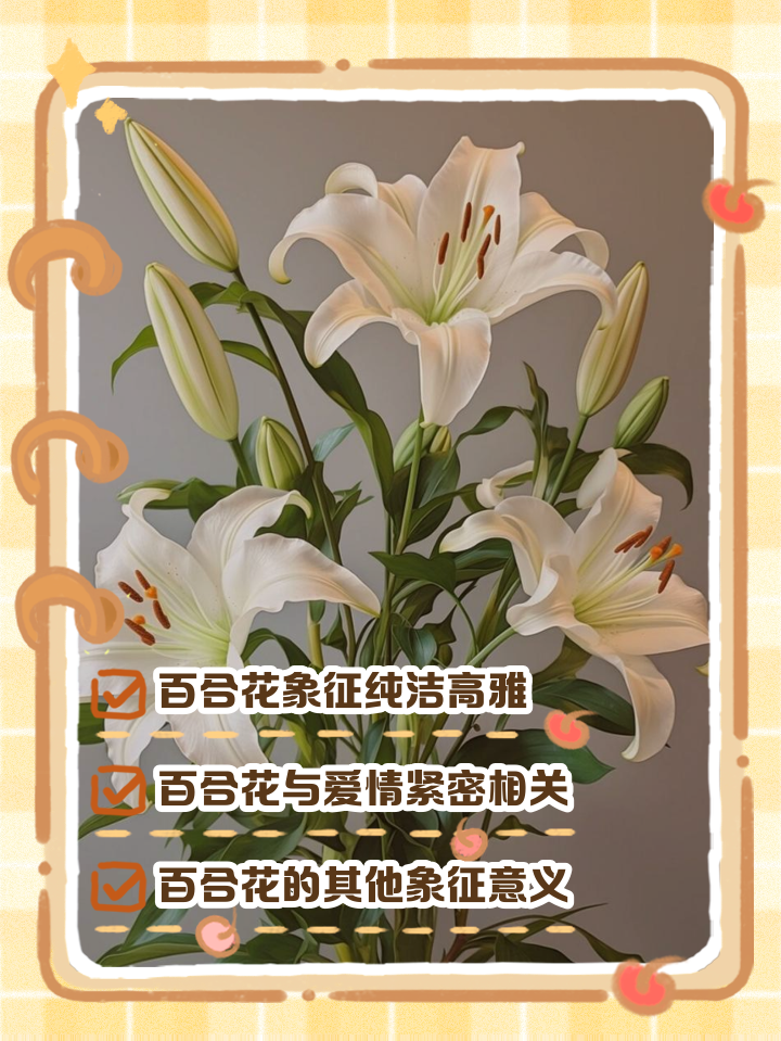 百合花代表的是什么花语