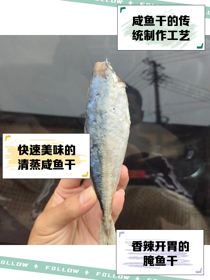 晒咸鱼干的制作方法窍门
