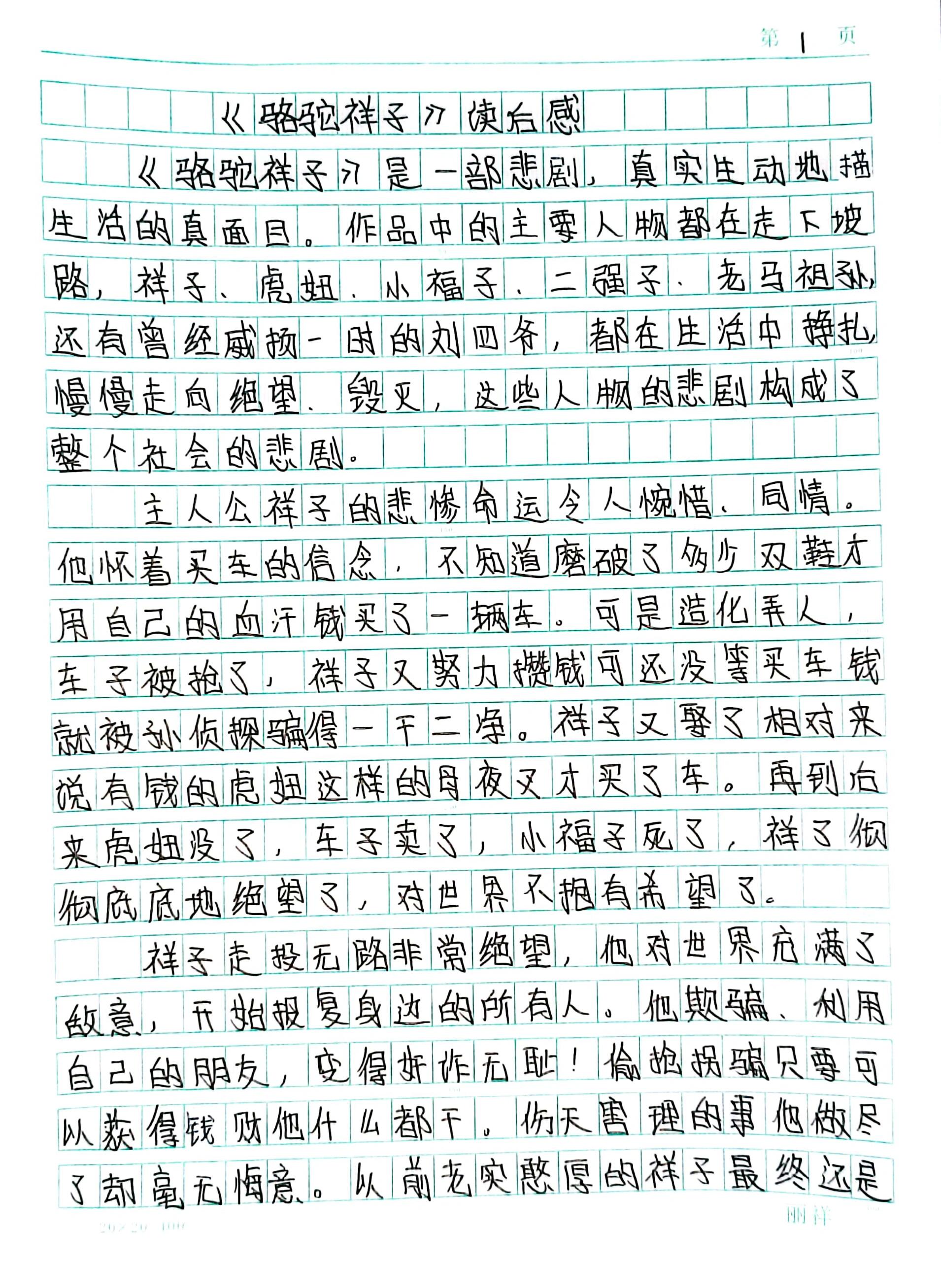 骆驼祥子读后感个人感悟50字