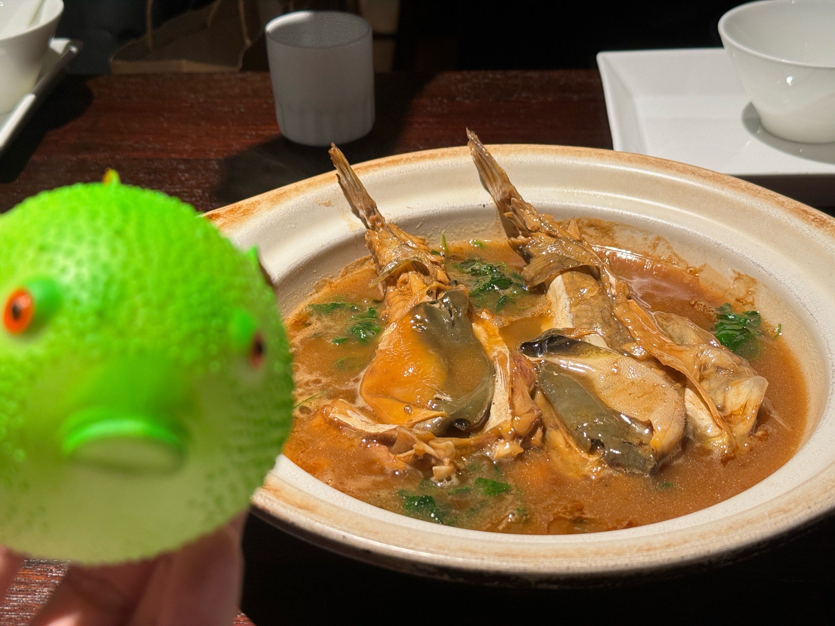 养河豚吃什么食物