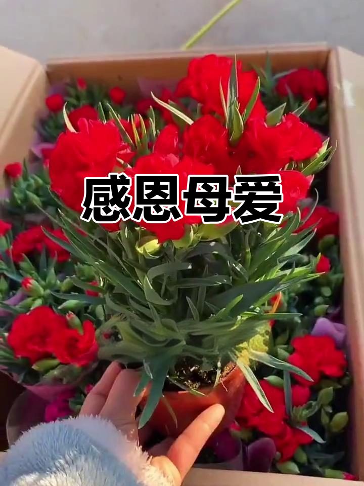 2025年9月14日 第32页