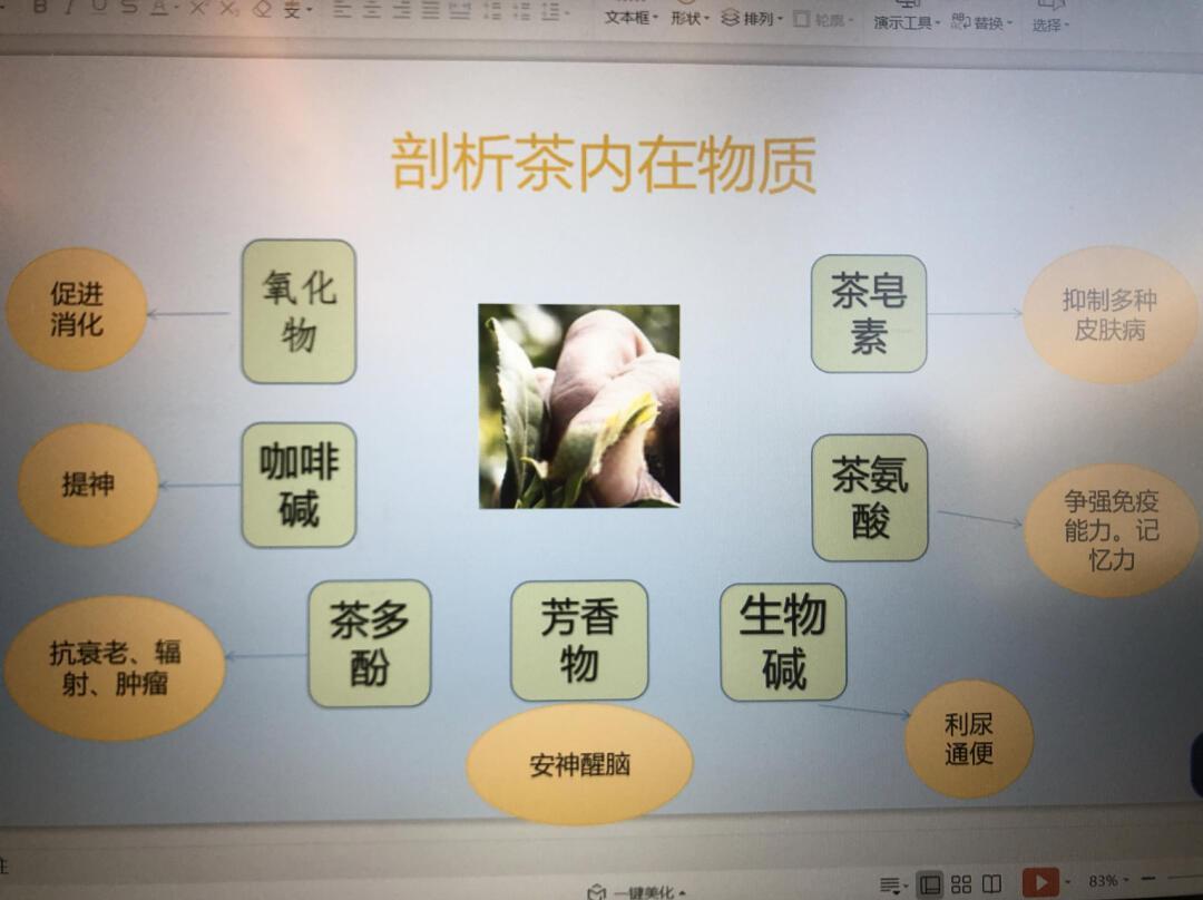 老白茶功效作用与主治