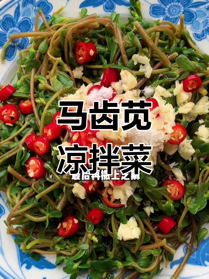 马齿苋怎么凉拌好吃视频