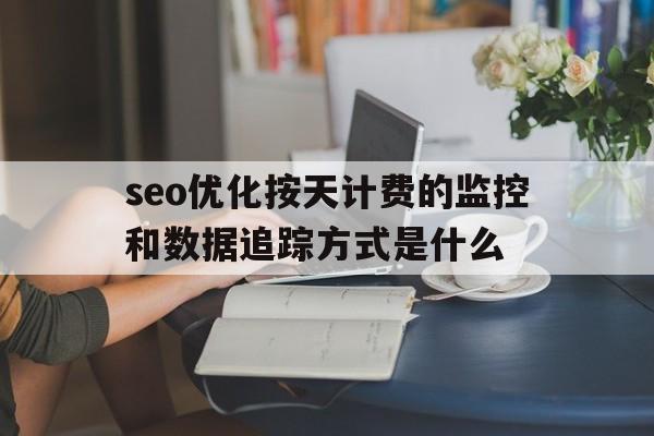seo优化按天计费的监控和数据追踪方式是什么