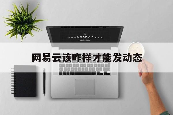 网易云该咋样才能发动态视频
