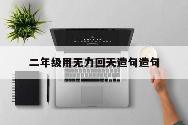 二年级用无力回天造句造句大全