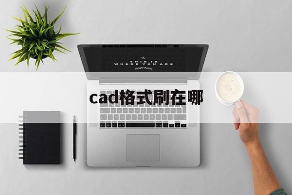 cad格式刷在哪里