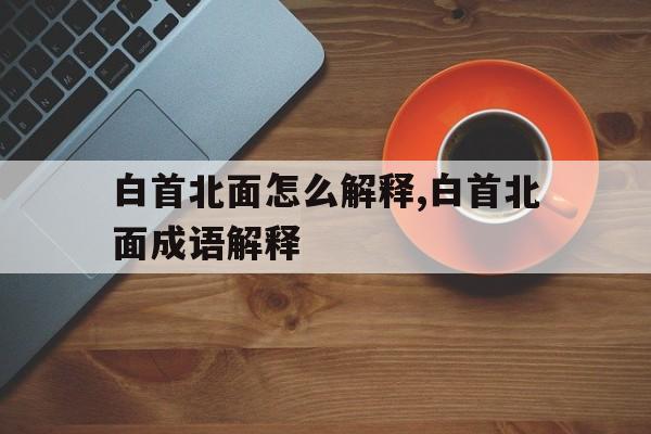 热文 第20页