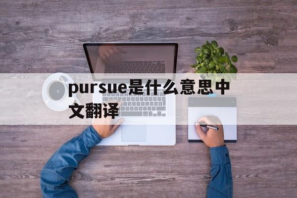 pursues是什么意思中文翻译