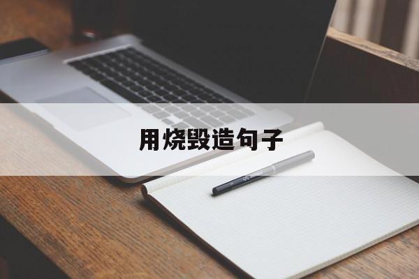 用焚烧造句简单